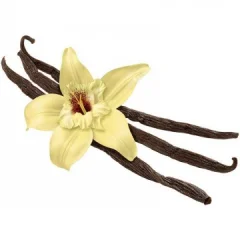 Capella E-Likit Aroması French Vanilla 10ML