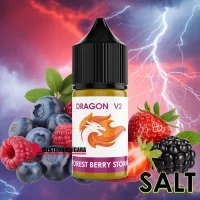 Dragon Salt Likit V2 Forest Berry Storm 30ml