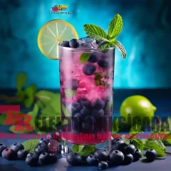 Mixology E-Liquid Flavor Berry Mojito 10ml