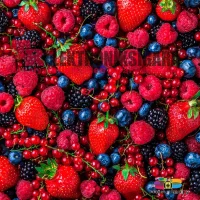 Mixology E-Likit Aroması Vozol Tat Serisi Forest Berry Storm 10ml