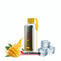 Vozol Star 20000 Puff Bar %5 Nikotin Mango İce