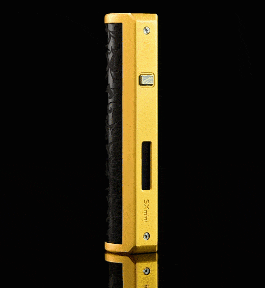 SX mini Mi Class Pod Mod